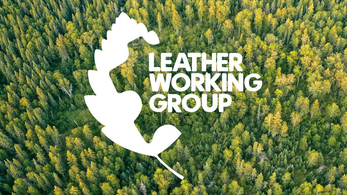 Sneakers tendances et éthiques en cuir : des fournisseurs certifiés LWG