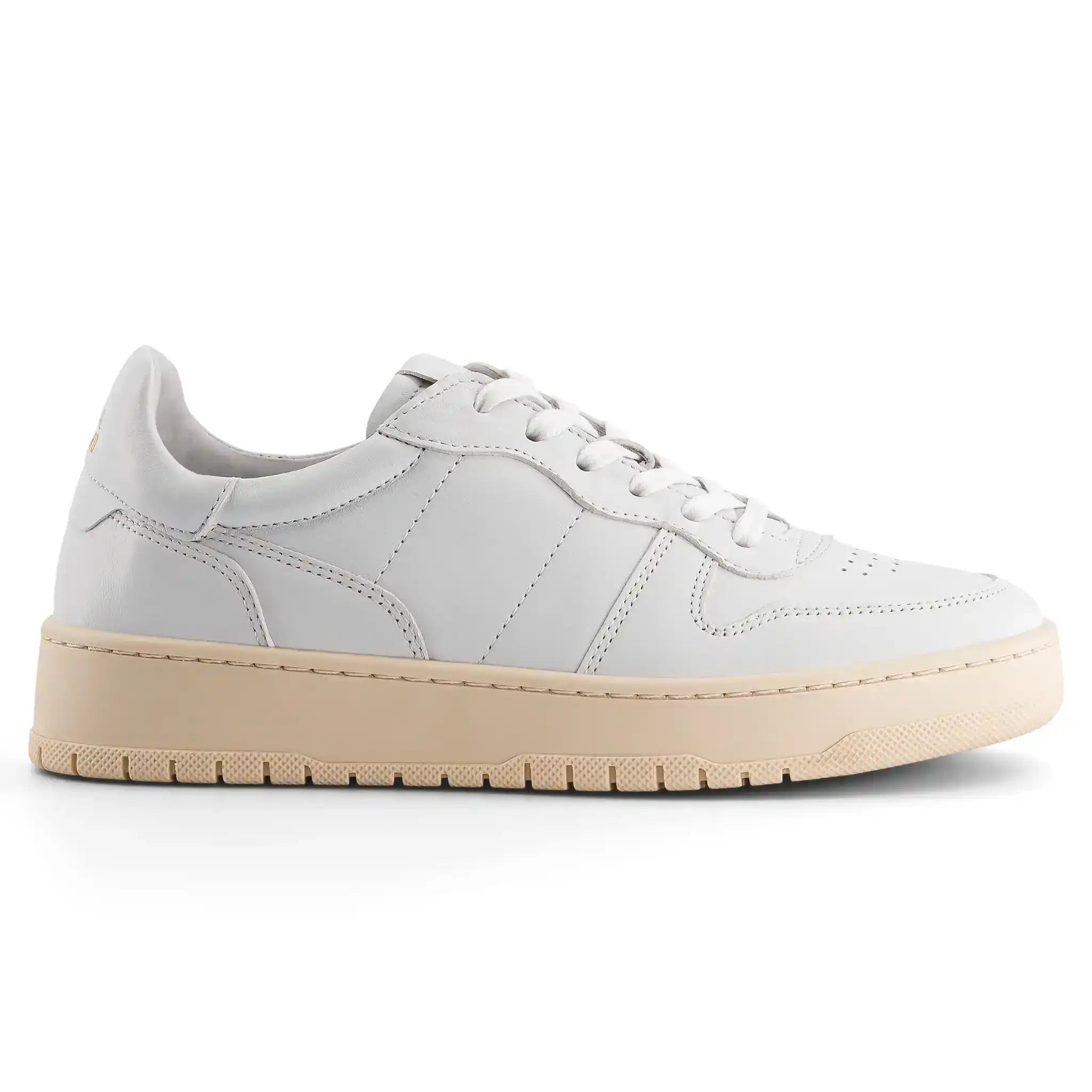 Sneakers Femme EDITION 8 White.