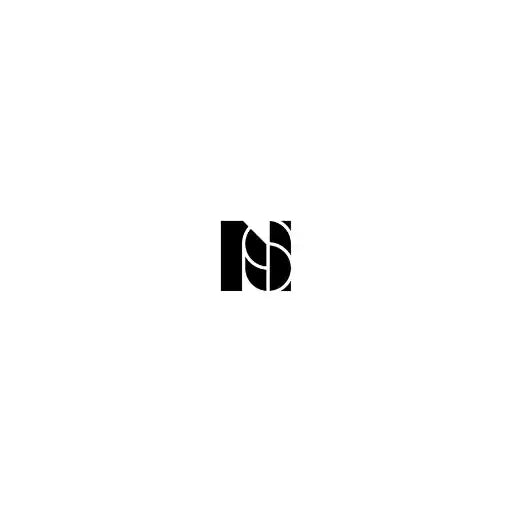 National Standard minimalist black and white logo on white background
